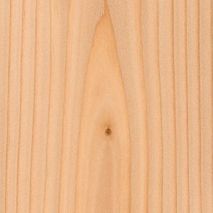 Douglas Fir