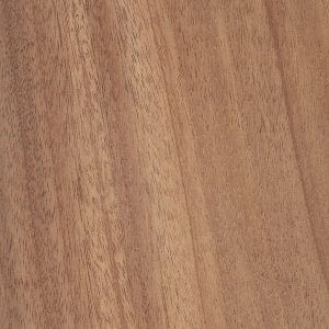 African Mahogany