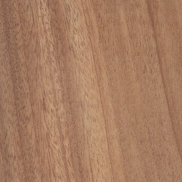 african-mahogany