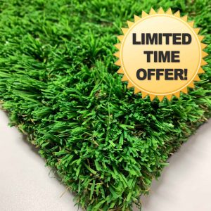 Barcelona Turf